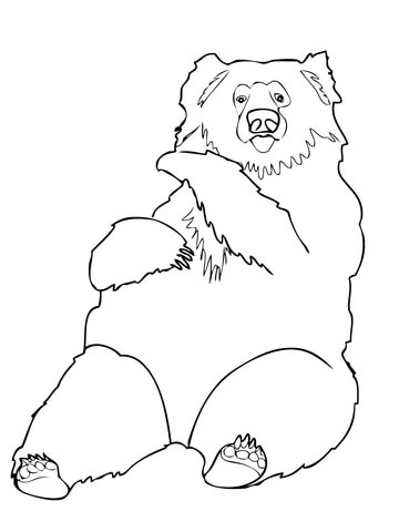 Sloth Bear Coloring Page